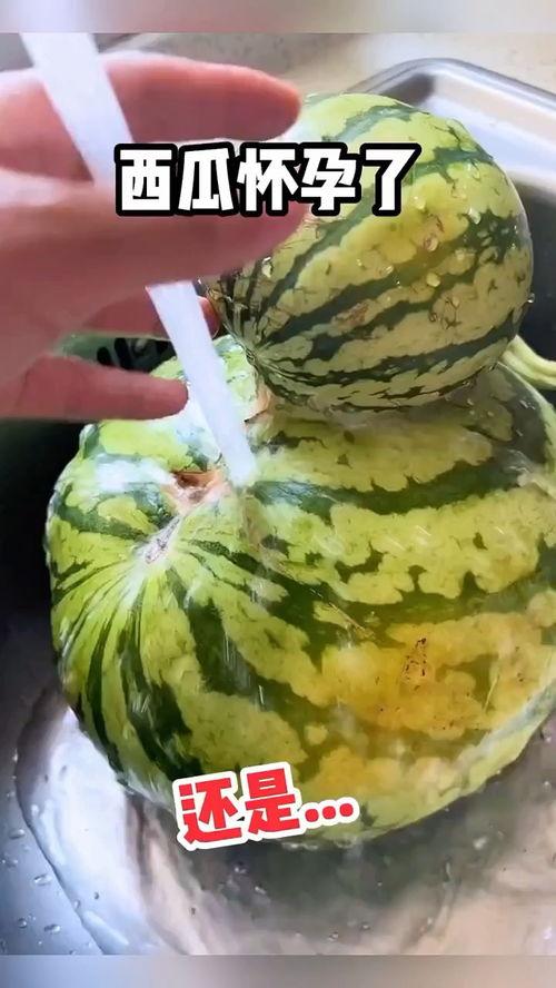 娱乐吃瓜用什么配音的,揭秘配音背后的那些事儿